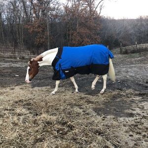 Meet your Posher, Tracie